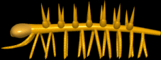 Hallucigenia animé