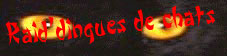 Raid' dingues de chats