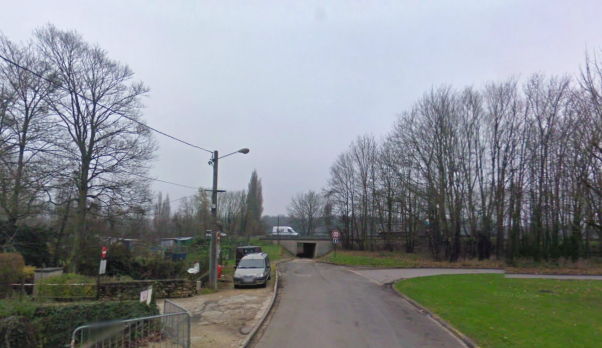 Lieu d'observation avec rangée d'arbres