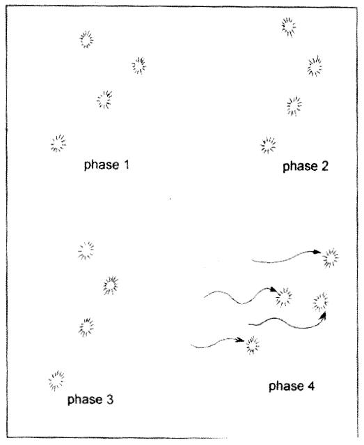 L'objet en quatre phases