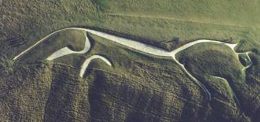 Cheval ou dragon blanc