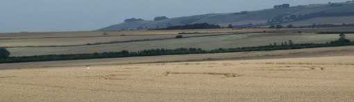 Avebury Trusloe de loin