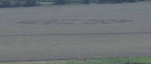 West Stowell