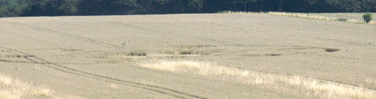 Froxfield de loin