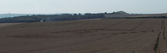 East Field de loin