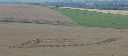 East Field