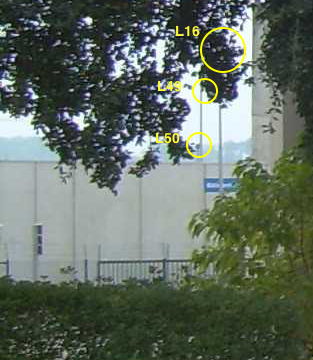 Photo 2 avec les lampadaires L16, L49 et L50