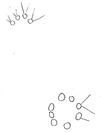 4 lummières en demi-cercle avec des faisceaux en haut, 8 lumières en cercle avec 2 faisceaux en bas
