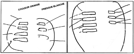 7 lumières avec faisceaux dans un objet ovale